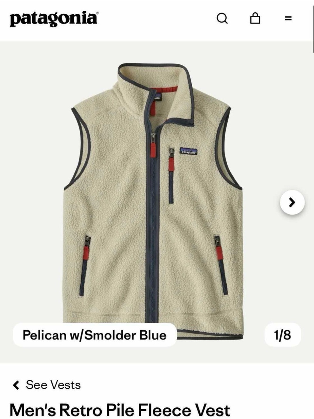 Patagonia Men's Retro Pile Fleece Vest - Pelican